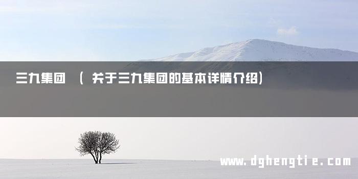 三九集团 (关于三九集团的基本详情介绍)